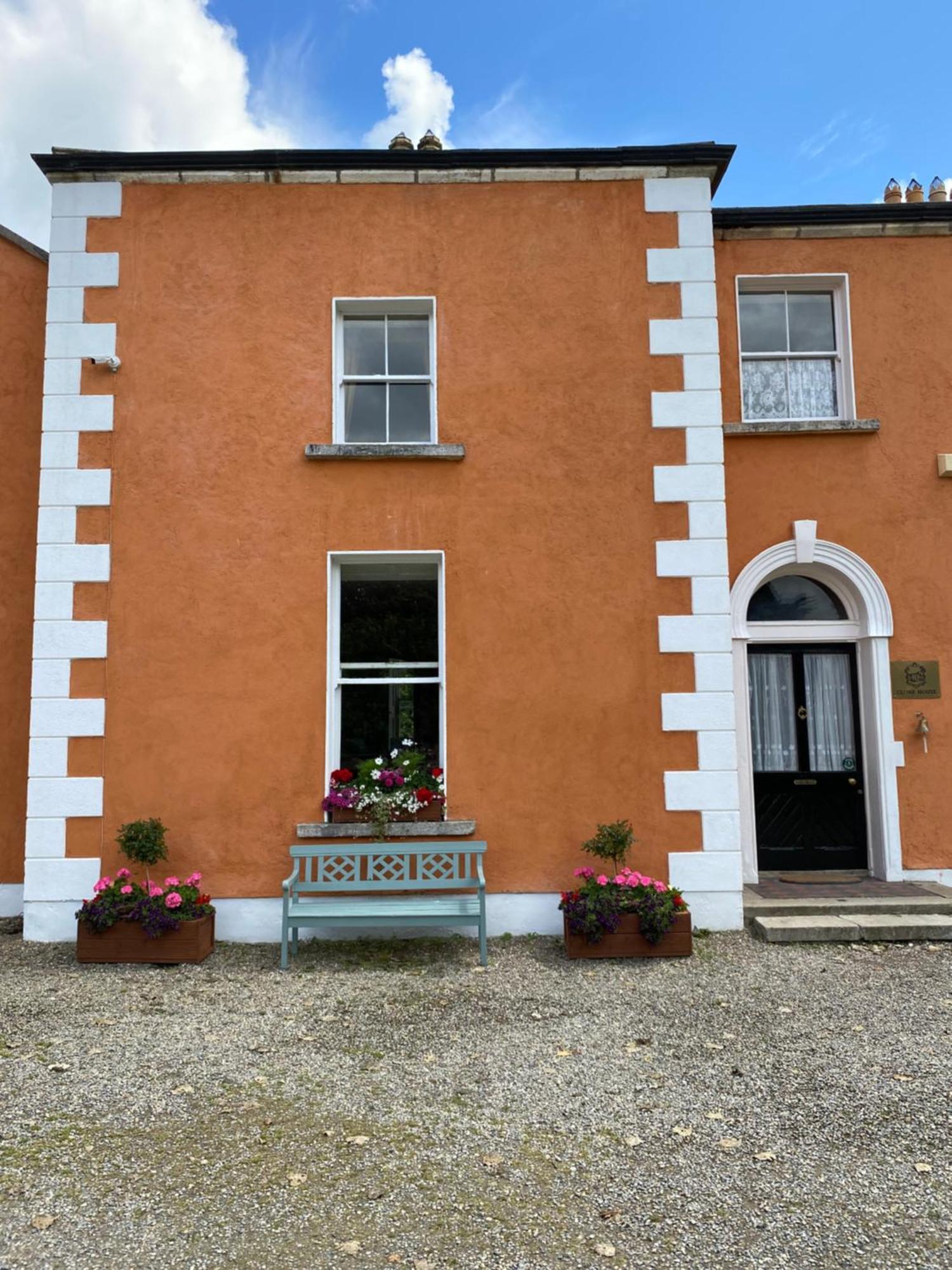 Clone Country House Aughrim Exterior foto The front door of the former schoolhouse