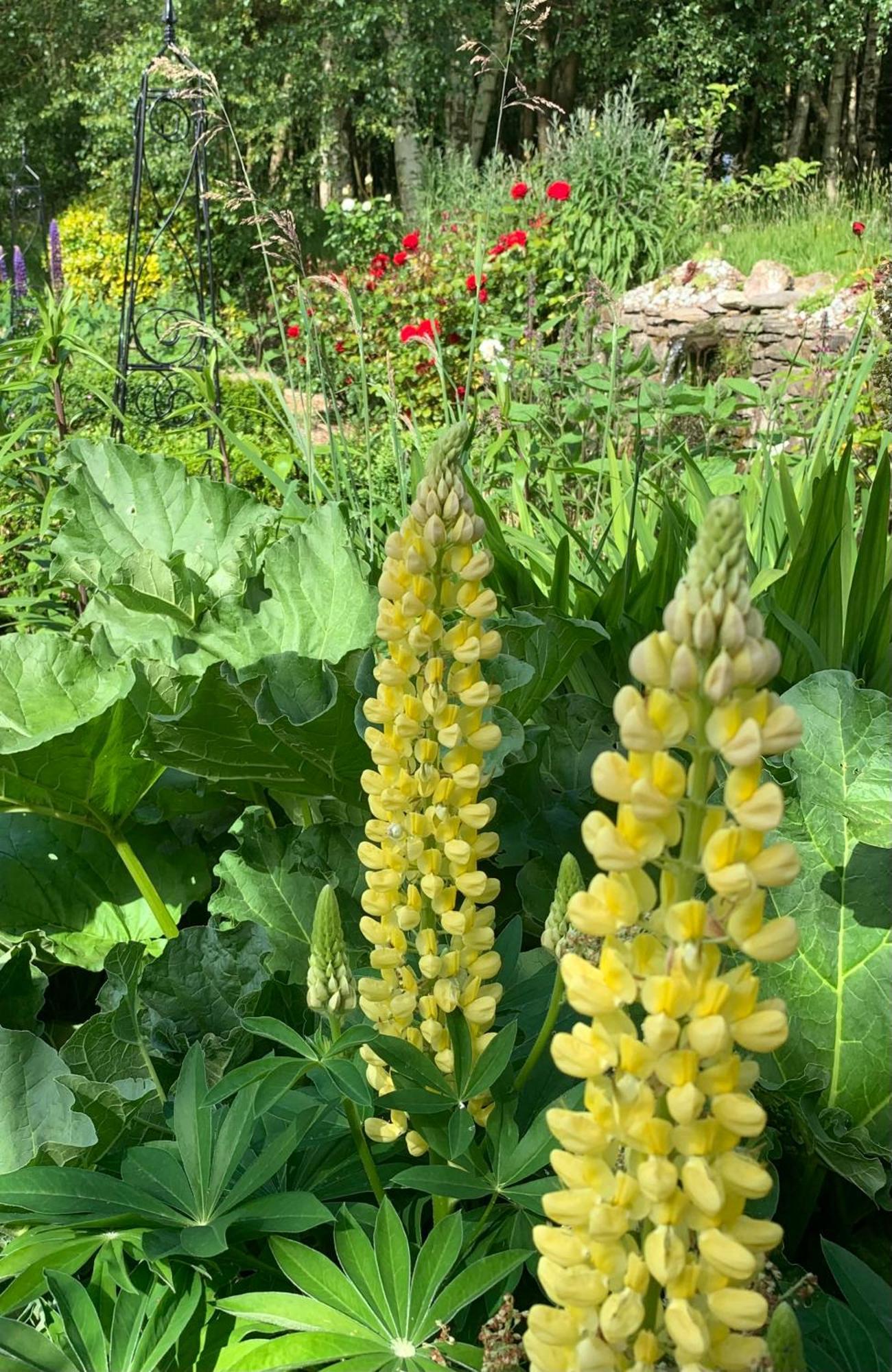 Clone Country House Aughrim Exterior foto Lupinus golden tower